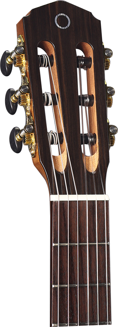 Altura A5 Classical Guitar W- Deluxe Gigbag-Altura-Infinite Music