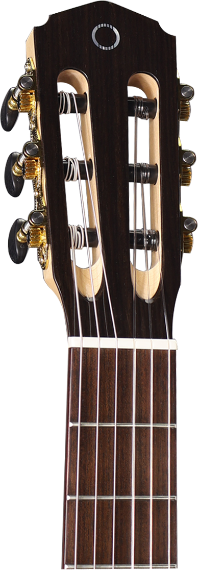 Altura A8F-CE Flamenco Guitar with Cutaway & Pickup W/- Deluxe Gigbag-Altura-Infinite Music