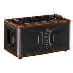 Aroma 60 Watt Rechargeable Acoustic Guitar Amplifier-Aroma-Infinite Music
