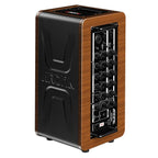 Aroma 60 Watt Rechargeable Acoustic Guitar Amplifier-Aroma-Infinite Music