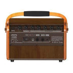 Aroma AG26A 25 Watt Acoustic Guitar Amplifier-Aroma-Infinite Music