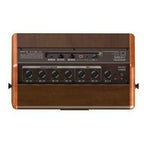 Aroma AG26A 25 Watt Acoustic Guitar Amplifier-Aroma-Infinite Music