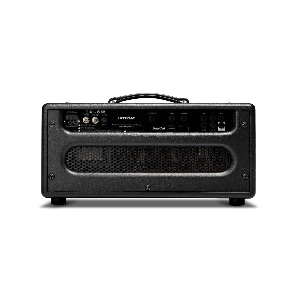Bad Cat Player Series 2 HOT CAT 45w Valve Head-Bad Cat-Infinite Music
