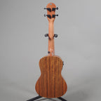 Barnes & Mullins Concert Ukulele with Pickup - Walnut-Barnes & Mullins-Infinite Music