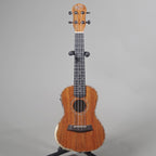 Barnes & Mullins Concert Ukulele with Pickup - Walnut-Barnes & Mullins-Infinite Music