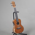 Barnes & Mullins Concert Ukulele with Pickup - Walnut-Barnes & Mullins-Infinite Music
