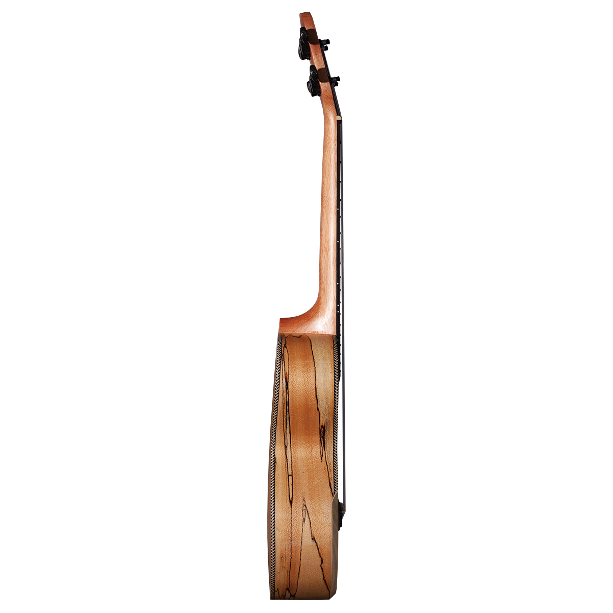 Barnes & Mullins Tenor Ukulele - Spalt Maple-Barnes & Mullins-Infinite Music