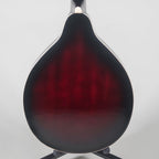 Bryden A Style Electric Mandolin - Dark Wine Red-Bryden-Infinite Music