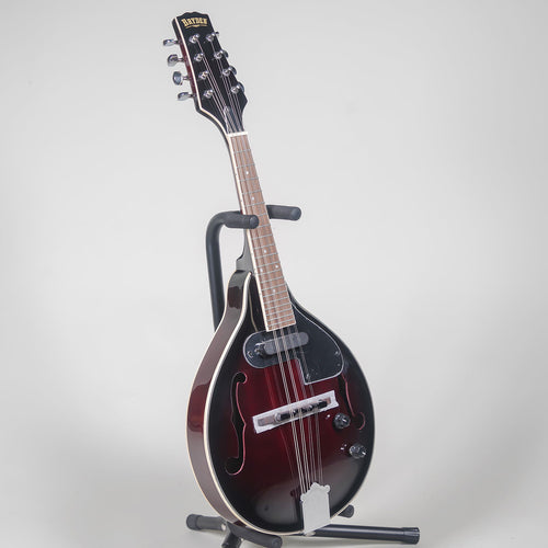 Bryden A Style Electric Mandolin - Dark Wine Red-Bryden-Infinite Music