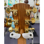 Cole Clark AN2EC-RDBLR Redwood/Blackwood Rosewood Acoustic-Electric Guitar W/- Hard Case-Cole Clark-Infinite Music