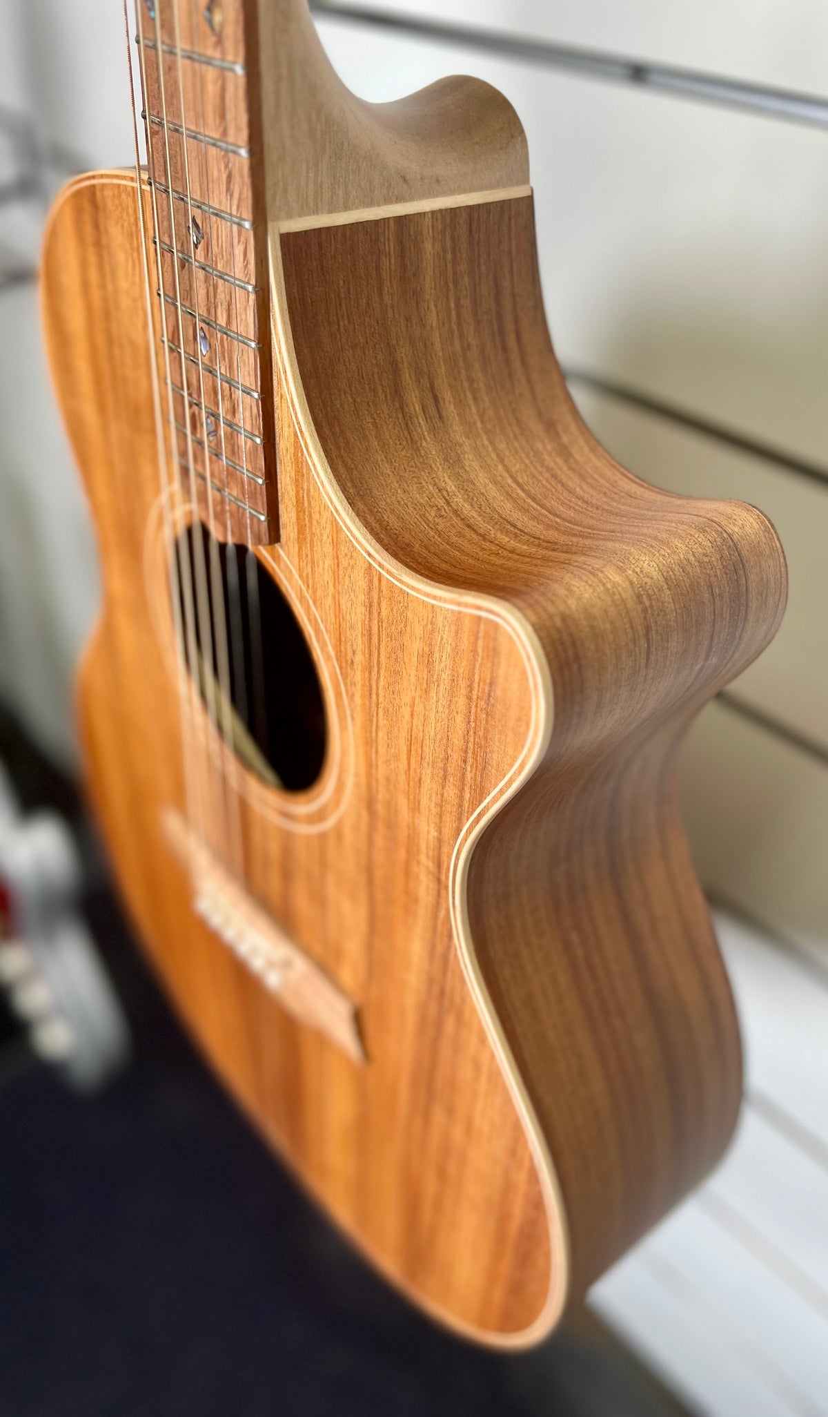 Cole Clark Angel AN2EC-BLBL Acoustic Electric Guitar W/- Hard Case-Cole Clark-Infinite Music
