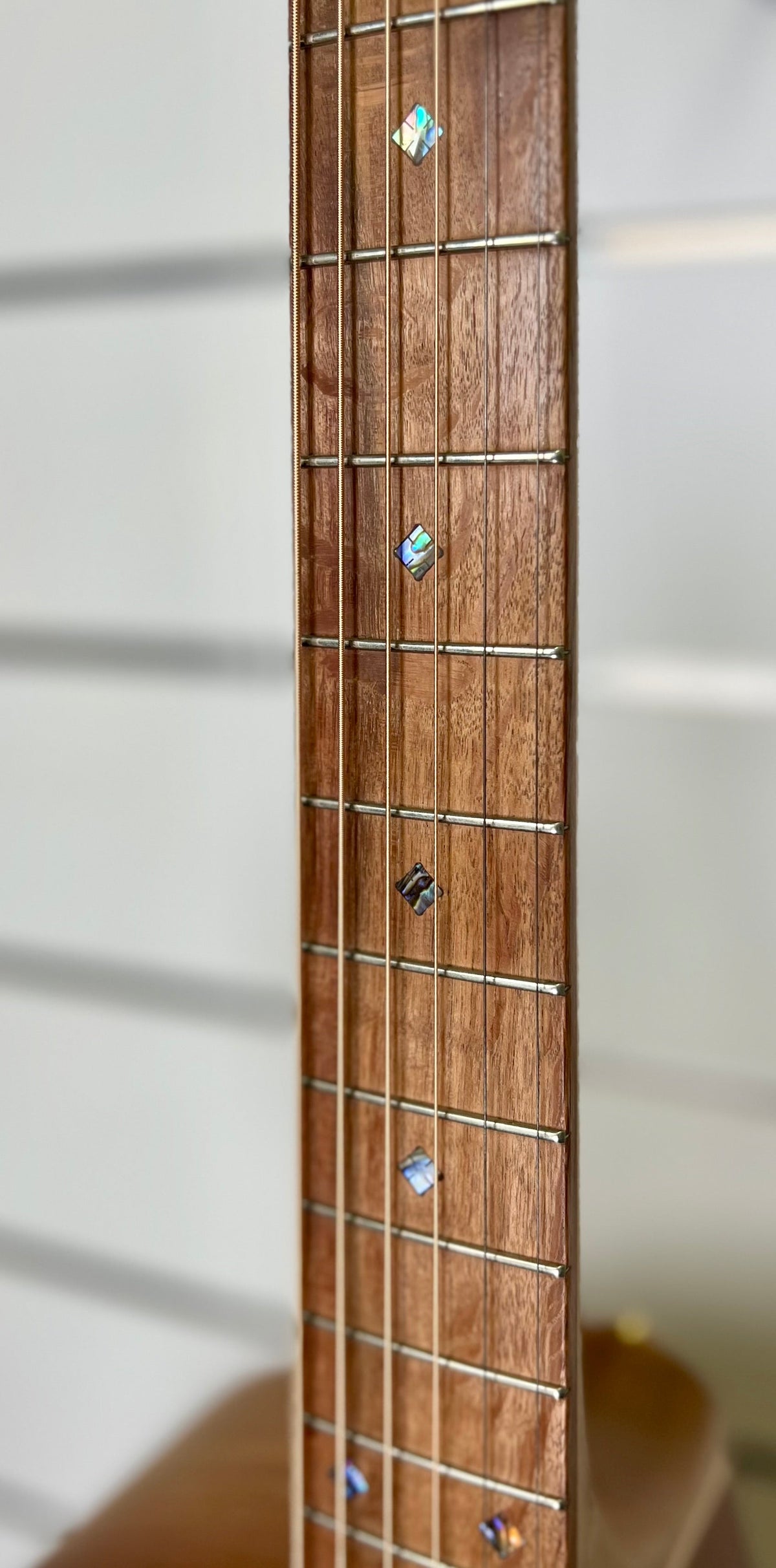 Cole Clark Angel AN2EC-BLBL Acoustic Electric Guitar W/- Hard Case-Cole Clark-Infinite Music