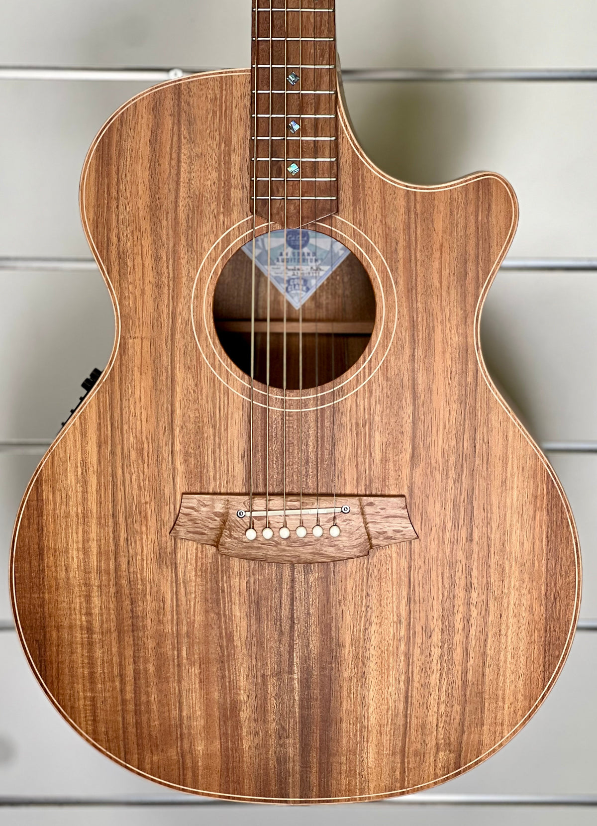 Cole Clark Angel AN2EC-BLBL Acoustic Electric Guitar W/- Hard Case-Cole Clark-Infinite Music