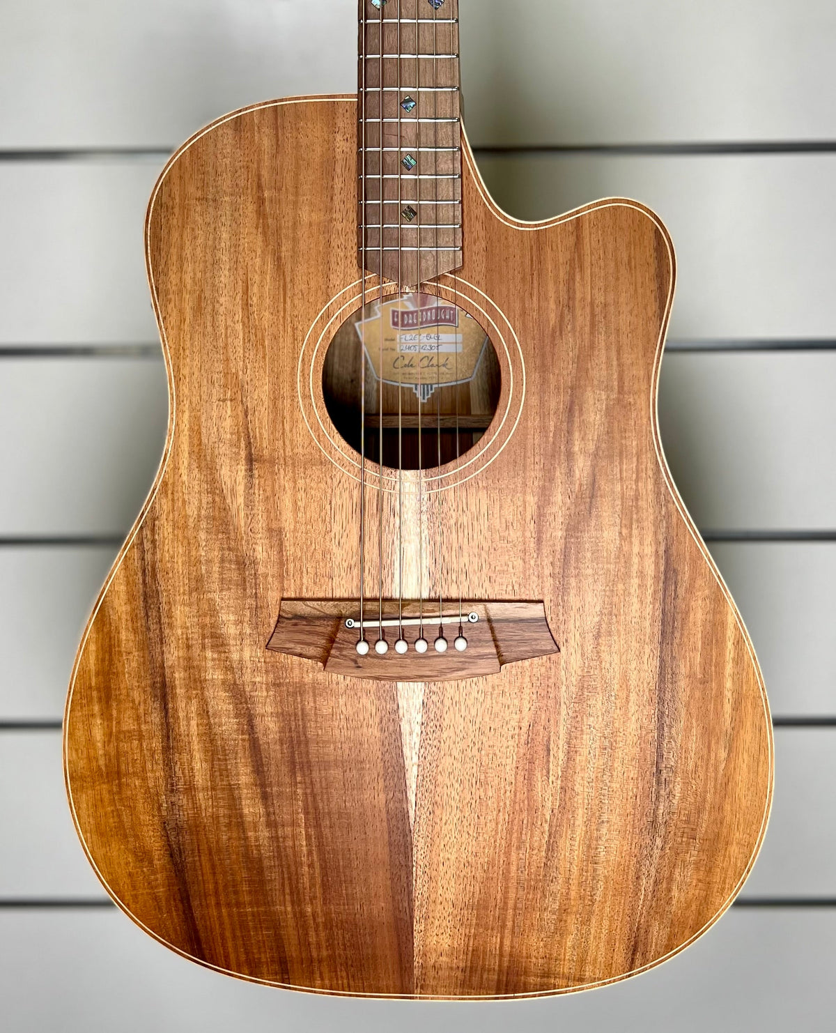 Cole Clark Fat Lady 2 FL2EC-BLBL Acoustic Electric Guitar-Cole Clark-Infinite Music