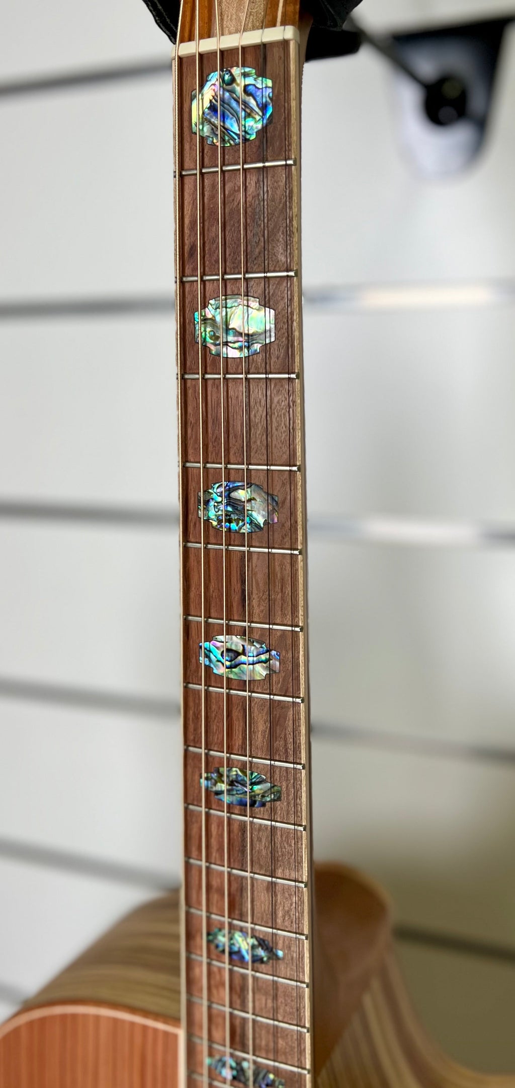 Cole Clark Fat Lady 3 FL3EC-RDCL-AE Acoustic Electric Guitar-Cole Clark-Infinite Music