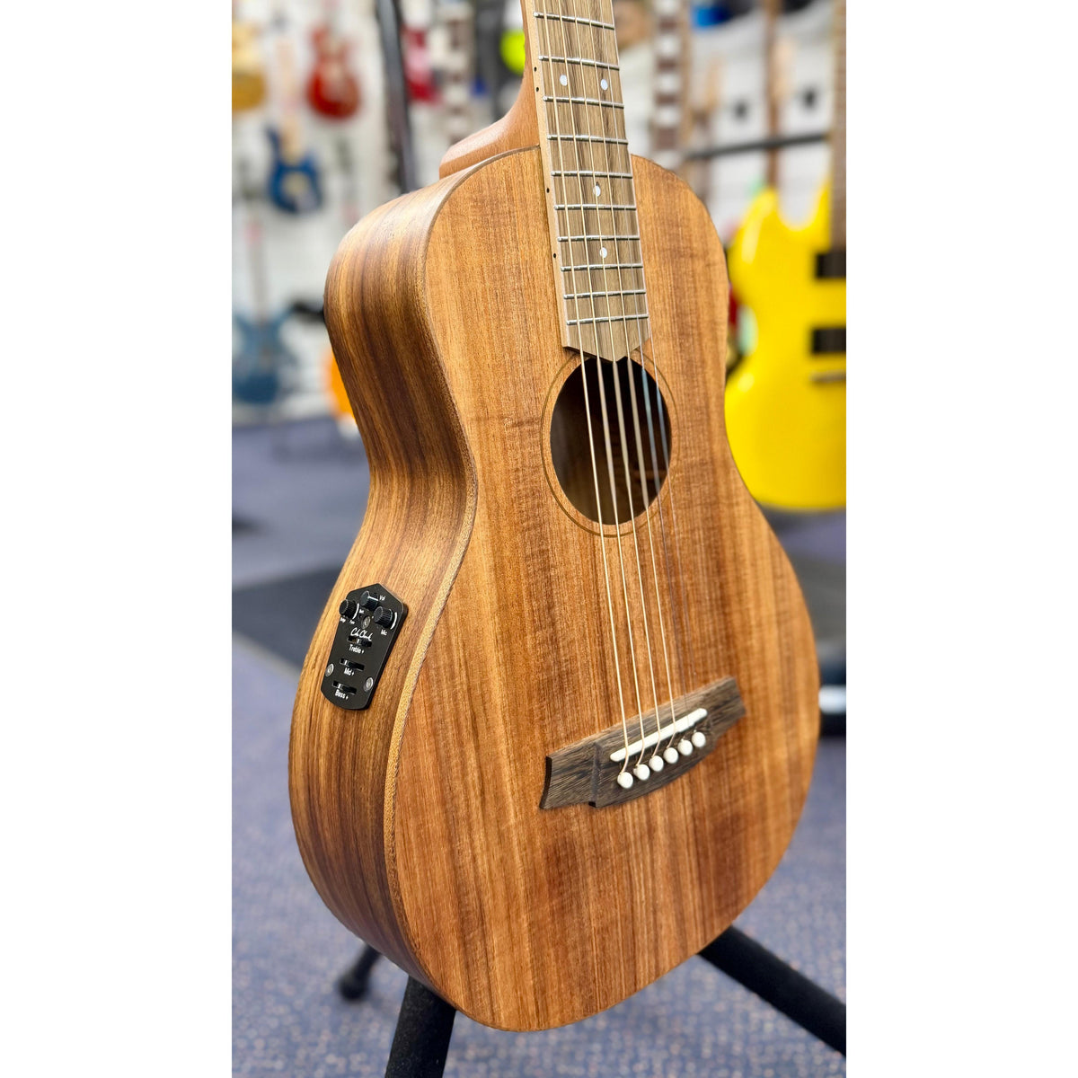 Cole Clark SP1E-BLBL Studio Parlour 24.75" Scale Acoustic - Blackwood W/- Deluxe Gigbag-Cole Clark-Infinite Music