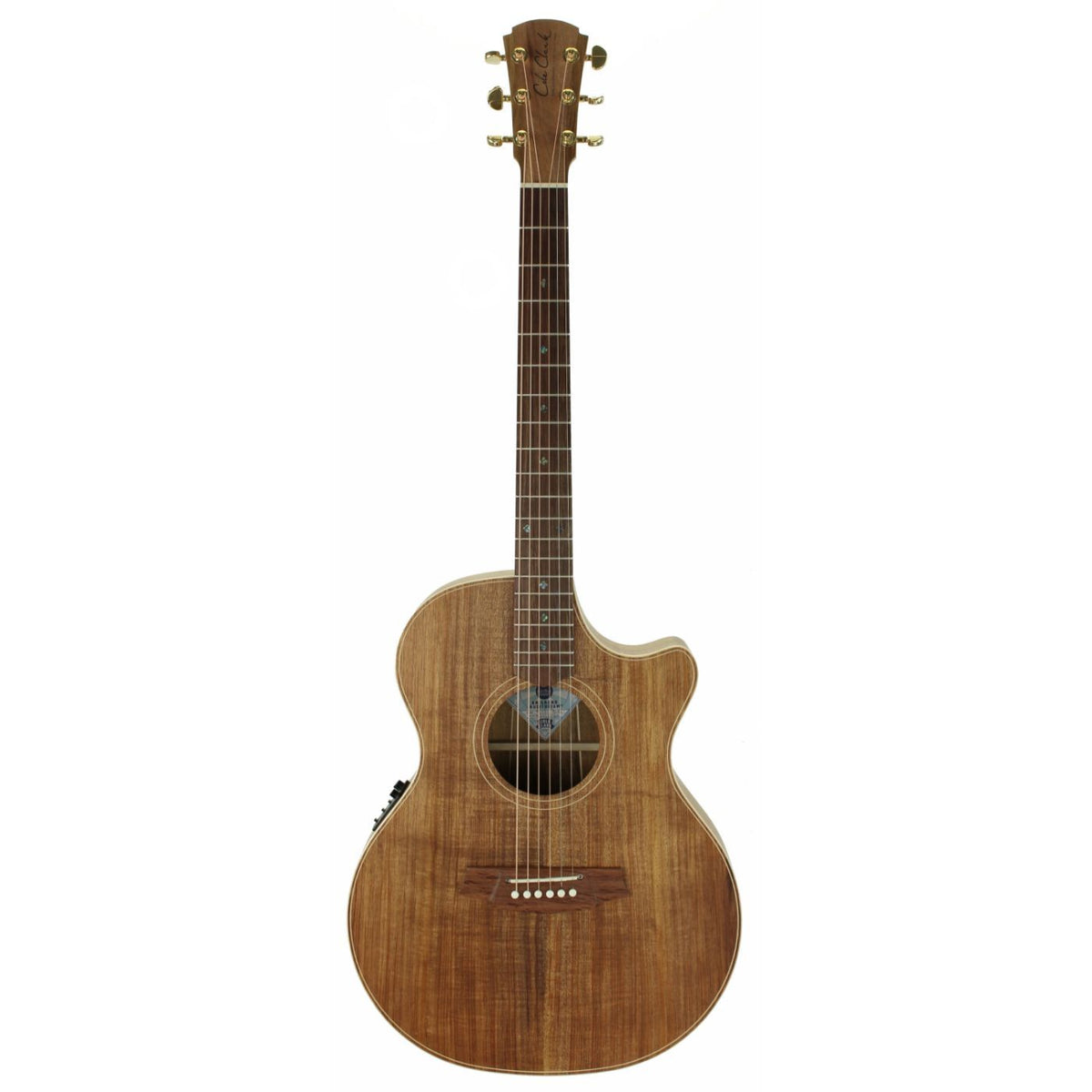 Cole Clark TL2EC-BLBL Thinline All Blackwood Acoustic Electric Guitar-Cole Clark-Infinite Music