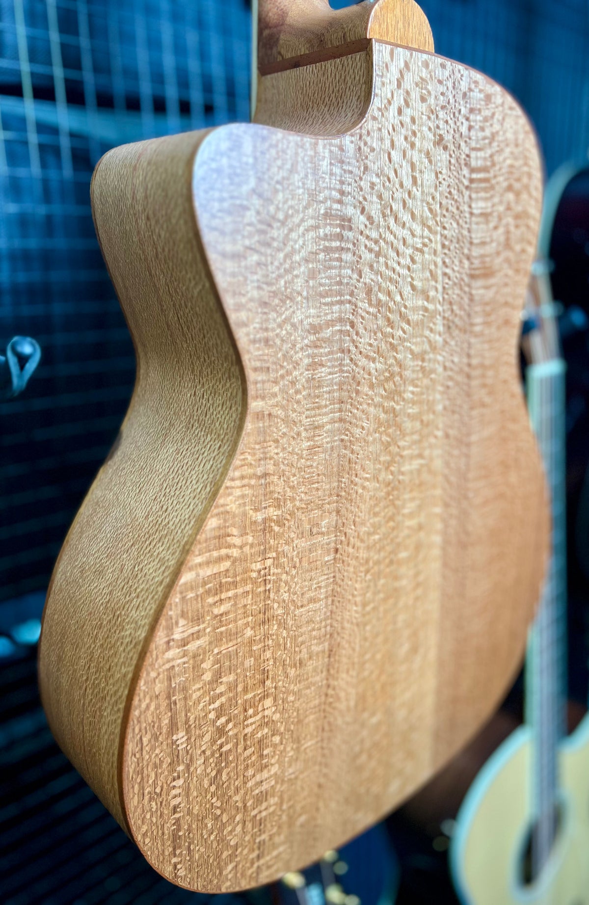 Cole Clarke SAN1EC -BSO GA - Bunya Top -Silky Oak Back & Sides, Cutaway, Pickup, Gig Bag-Cole Clark-Infinite Music