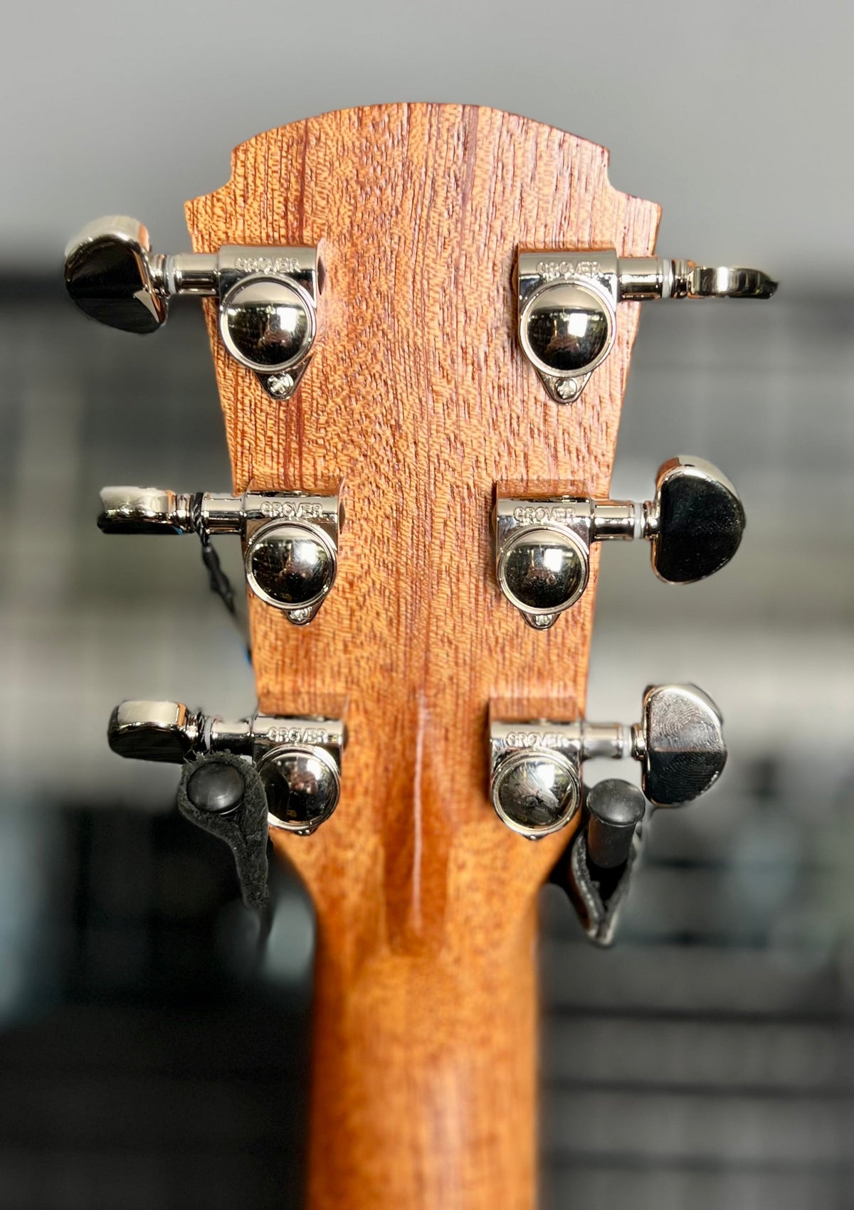 Cole Clarke SAN1EC -BSO GA - Bunya Top -Silky Oak Back & Sides, Cutaway, Pickup, Gig Bag-Cole Clark-Infinite Music