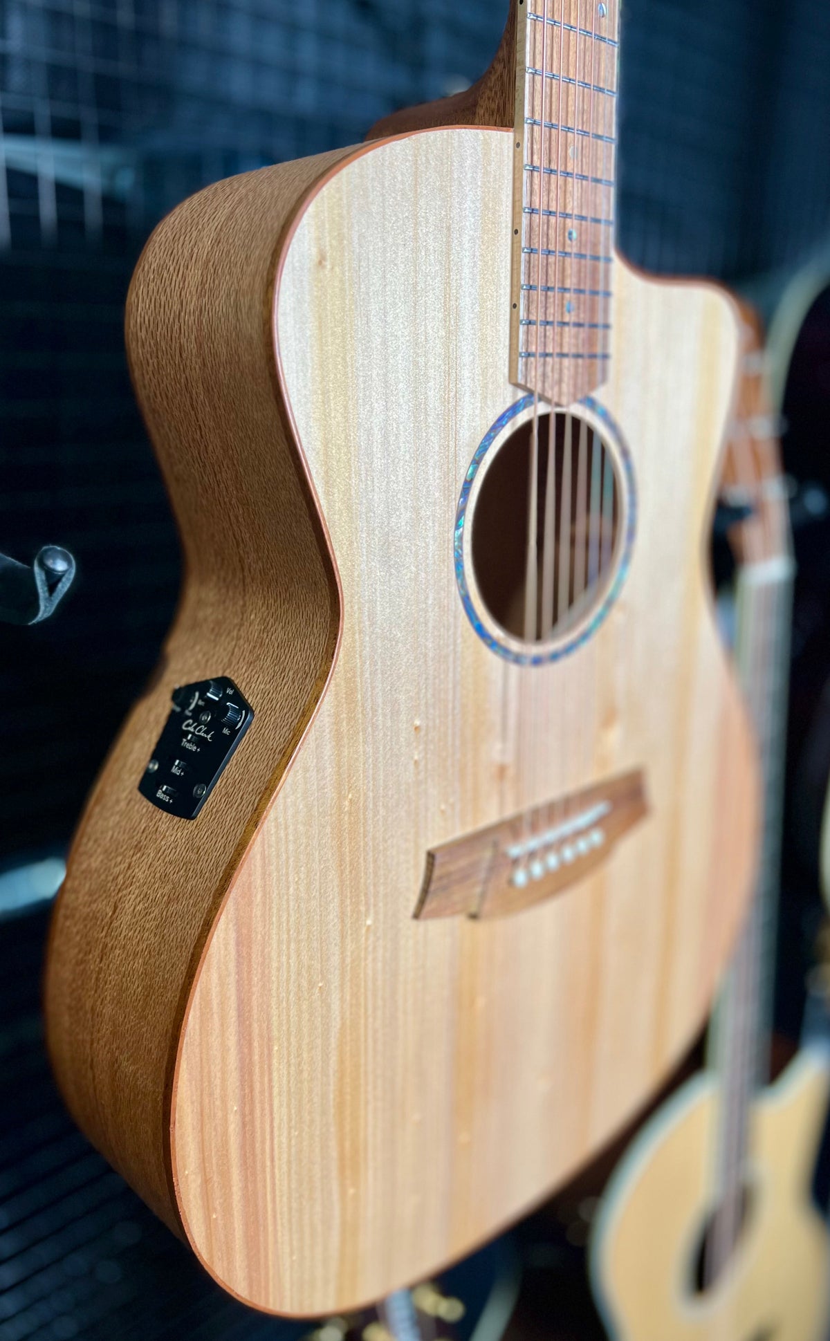 Cole Clarke SAN1EC -BSO GA - Bunya Top -Silky Oak Back & Sides, Cutaway, Pickup, Gig Bag-Cole Clark-Infinite Music