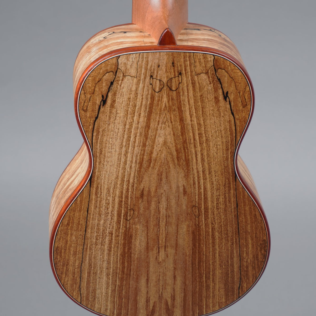 Cordoba 24S Soprano Ukulele-Cordoba-Infinite Music