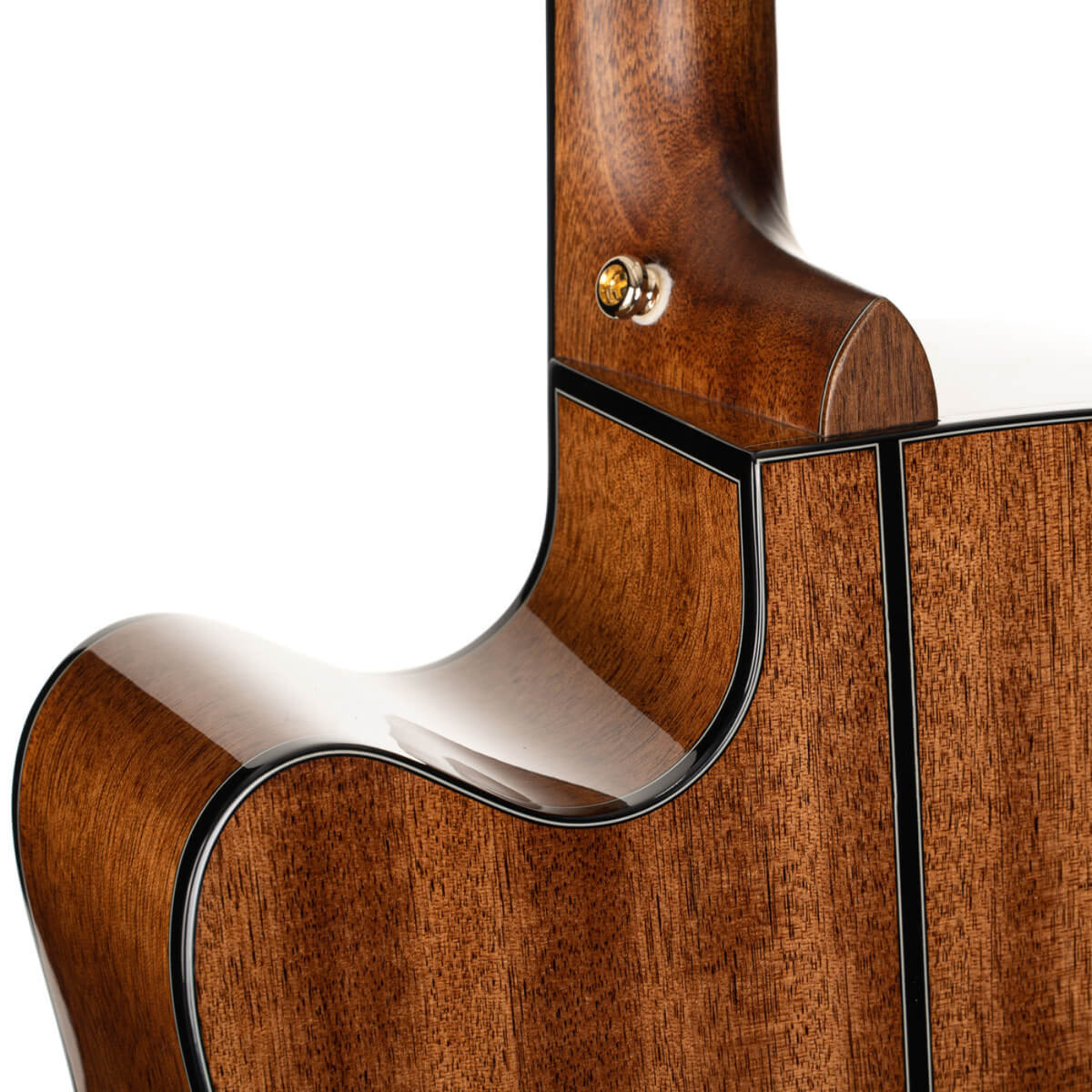 Cort Gold DC6 Acoustic Electric Guitar in Natural w/- Deluxe Soft Case (C12212)-Cort-Infinite Music