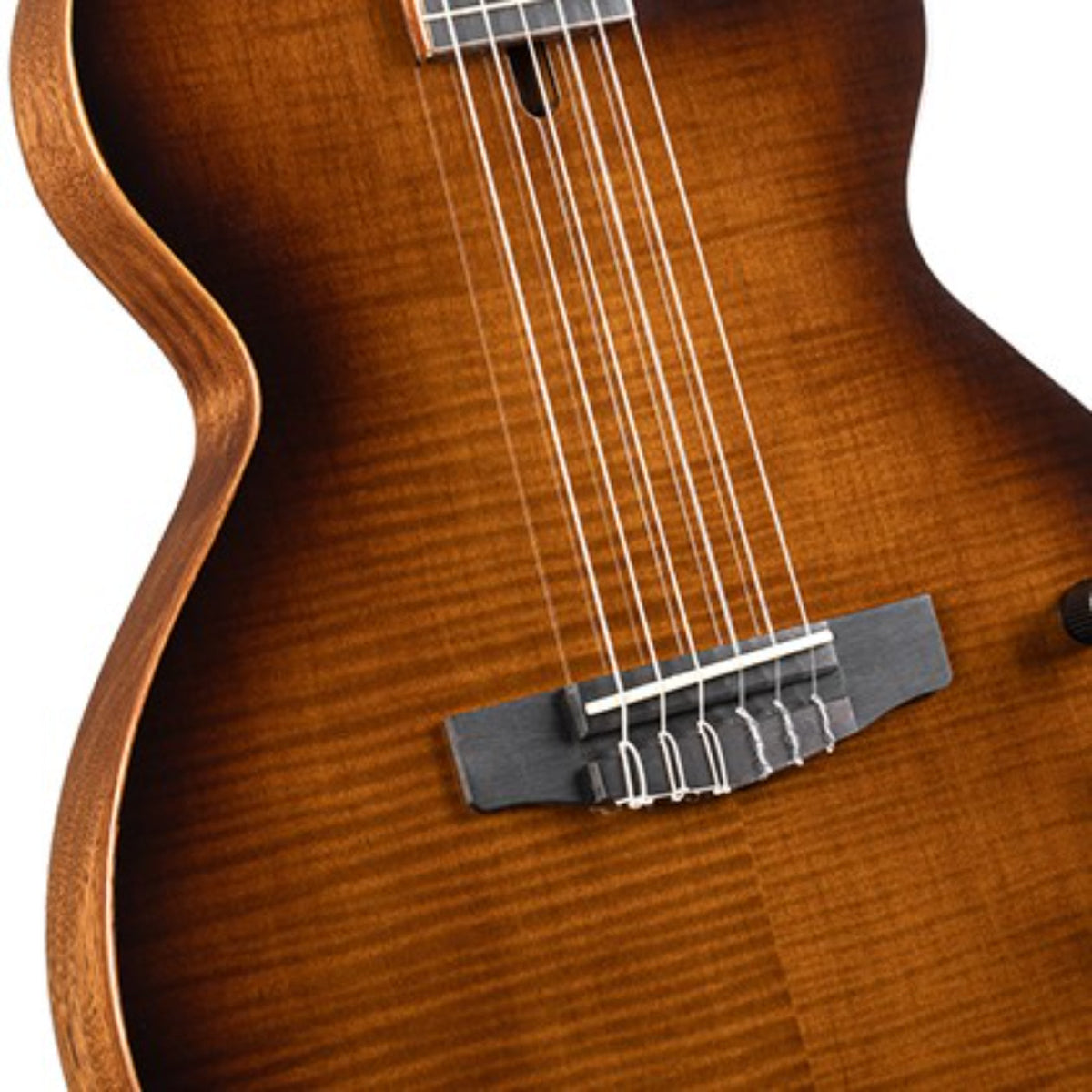 Cort Nylon Electric Deluxe TSB Classical Guitar with Fishman pickup-Cort-Infinite Music