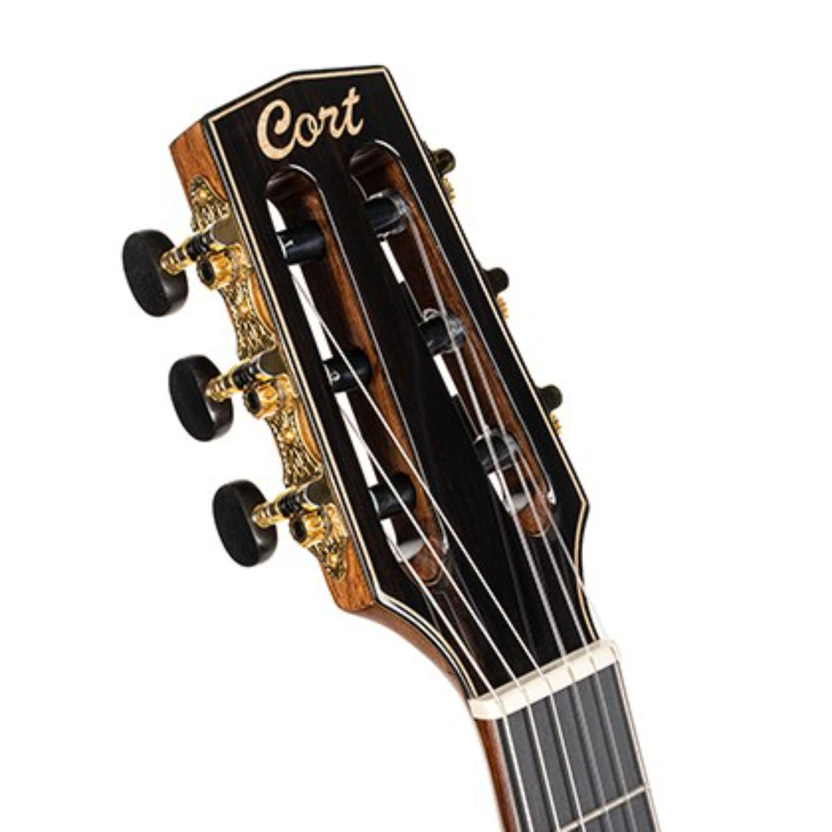 Cort Nylon Electric Deluxe TSB Classical Guitar with Fishman pickup-Cort-Infinite Music