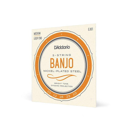 D'Addario EJ61 5 String Banjo String Set-D'Addario-Infinite Music