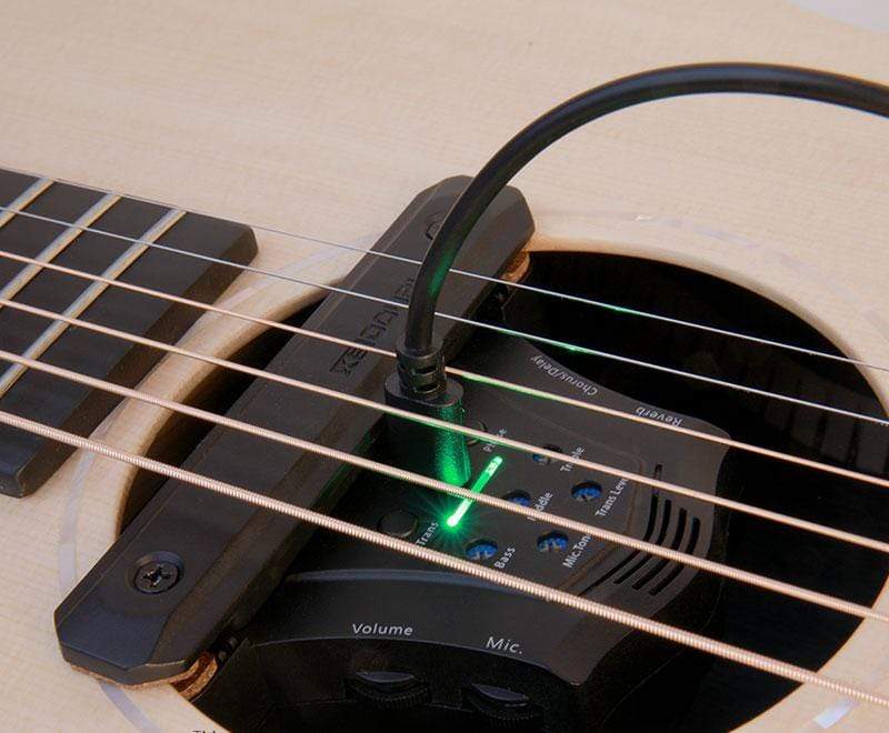Double G0 Guitar Soundhole Pickup With Built-In Effects-Double-Infinite Music