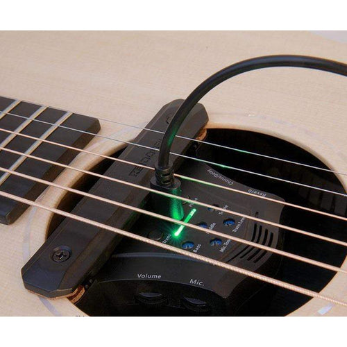 Double G0 Guitar Soundhole Pickup With Built-In Effects-Double-Infinite Music