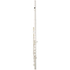 Eastman EFL214SE-CO Student Flute - With Case-Eastman-Infinite Music