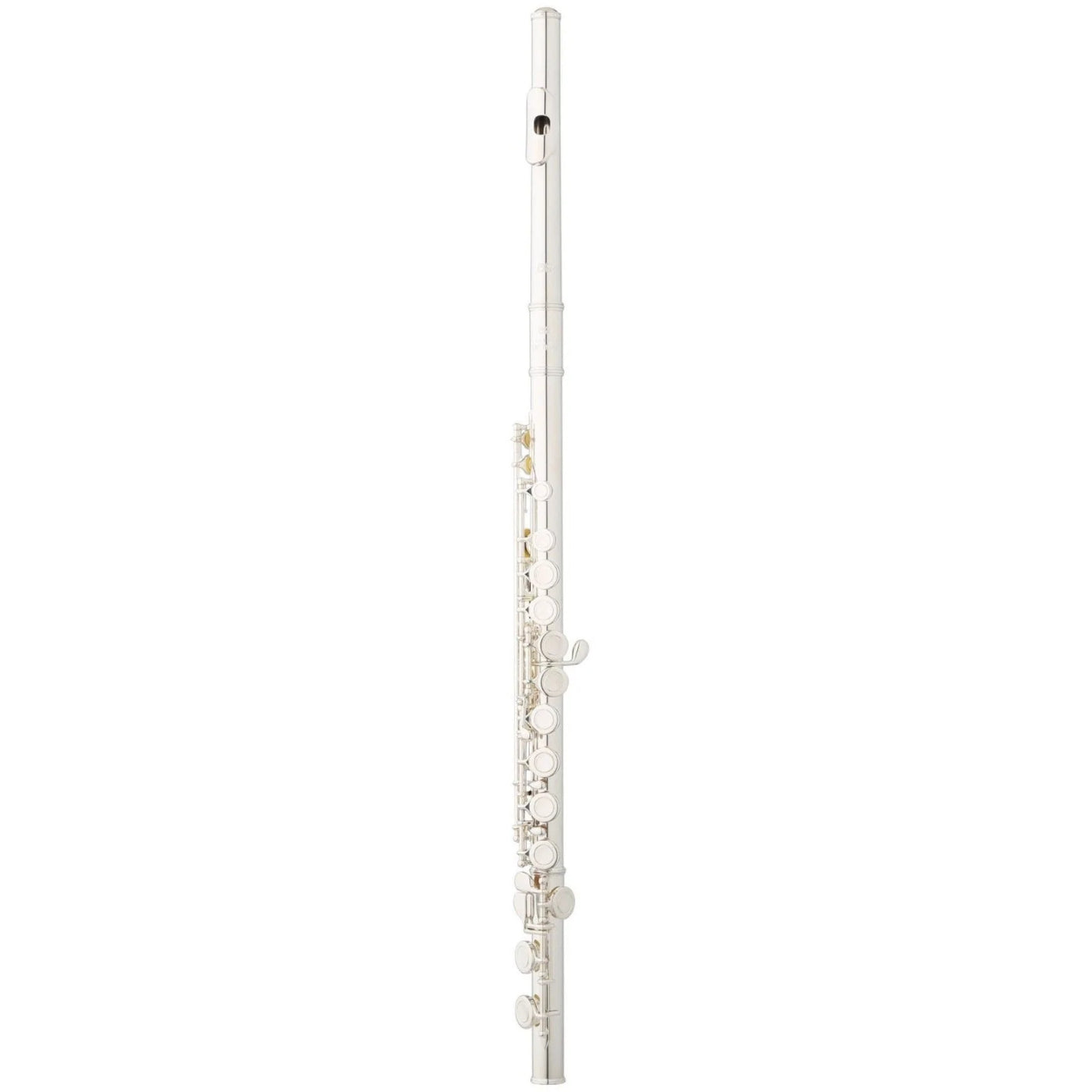 Eastman EFL214SE-CO Student Flute - With Case-Eastman-Infinite Music
