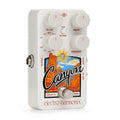 Electro-Harmonix Canyon Delay and Looper Guitar Pedal-Electro-Harmonix-Infinite Music