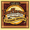Ernie Ball 2012 Earthwood 80/20 Bronze 12 String Acoustic Guitar Medium 11-28-Ernie Ball-Infinite Music
