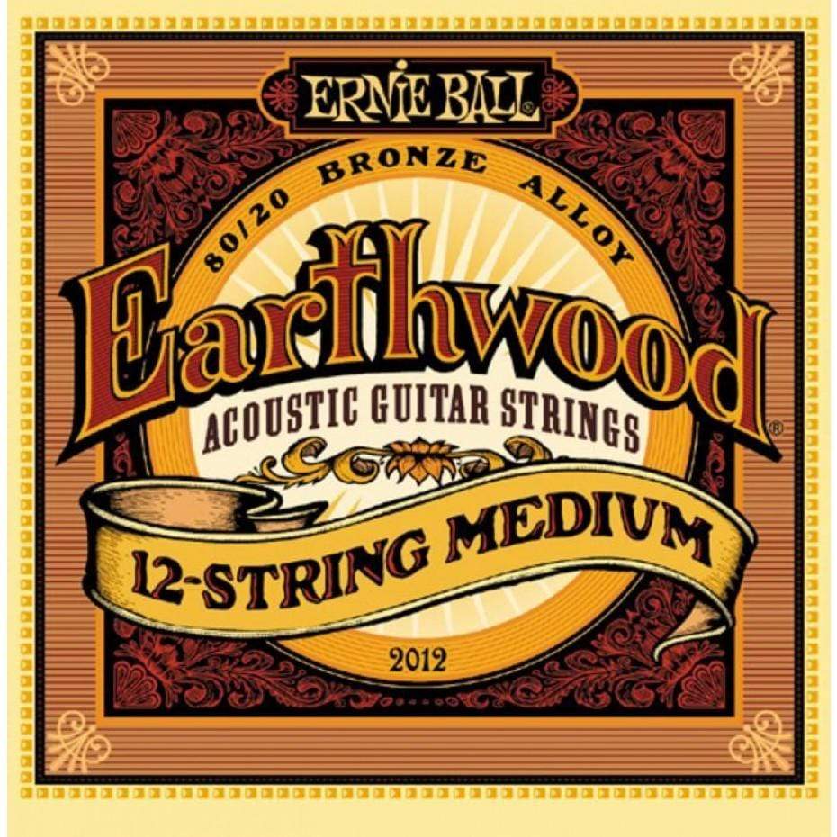 Ernie Ball 2012 Earthwood 80/20 Bronze 12 String Acoustic Guitar Medium 11-28-Ernie Ball-Infinite Music