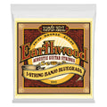 Ernie Ball 2063 Earthwood 5-String Bluegrass Banjo Strings - Loop End 9-20-Ernie Ball-Infinite Music