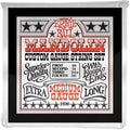Ernie Ball 2320 Mandolin Strings Stainless Steel Medium 10-36-Ernie Ball-Infinite Music