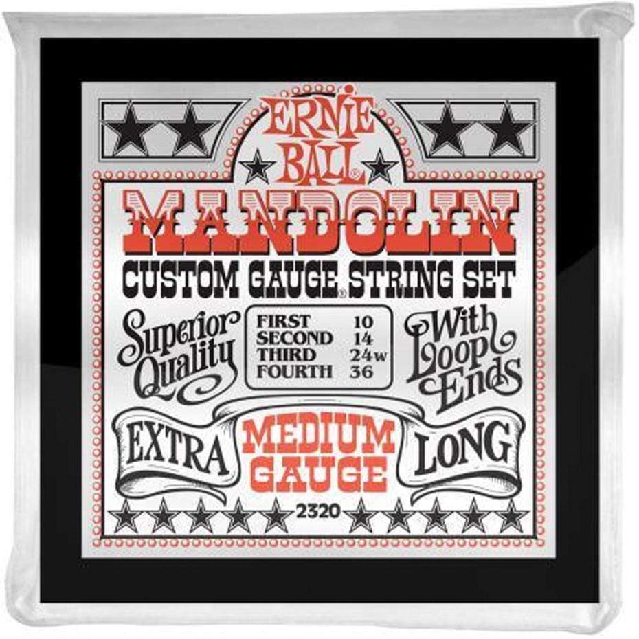 Ernie Ball 2320 Mandolin Strings Stainless Steel Medium 10-36-Ernie Ball-Infinite Music