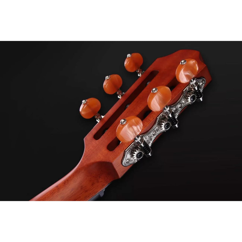 Furch Grand Nylon GNc 4 SR - Spruce/Rosewood w/LR Baggs EAS VTC & Hiscox Hardcase-Furch Guitars-Infinite Music