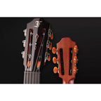 Furch Grand Nylon GNc 4 SR - Spruce/Rosewood w/LR Baggs EAS VTC & Hiscox Hardcase-Furch Guitars-Infinite Music