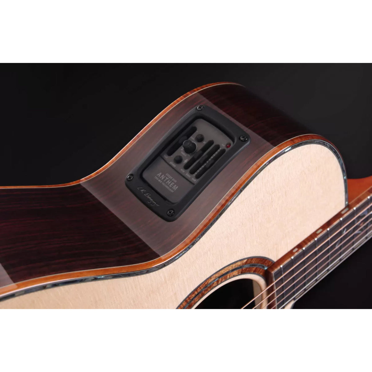 Furch Red Gc-SR SPA Master's Choice w/ LR Baggs Anthem SP & Hiscox Hard Case-Furch Guitars-Infinite Music