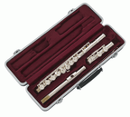 GATOR GC-FLUTE-B/C DLX MOLDED CASE FOR FLUTE-Gator-Infinite Music