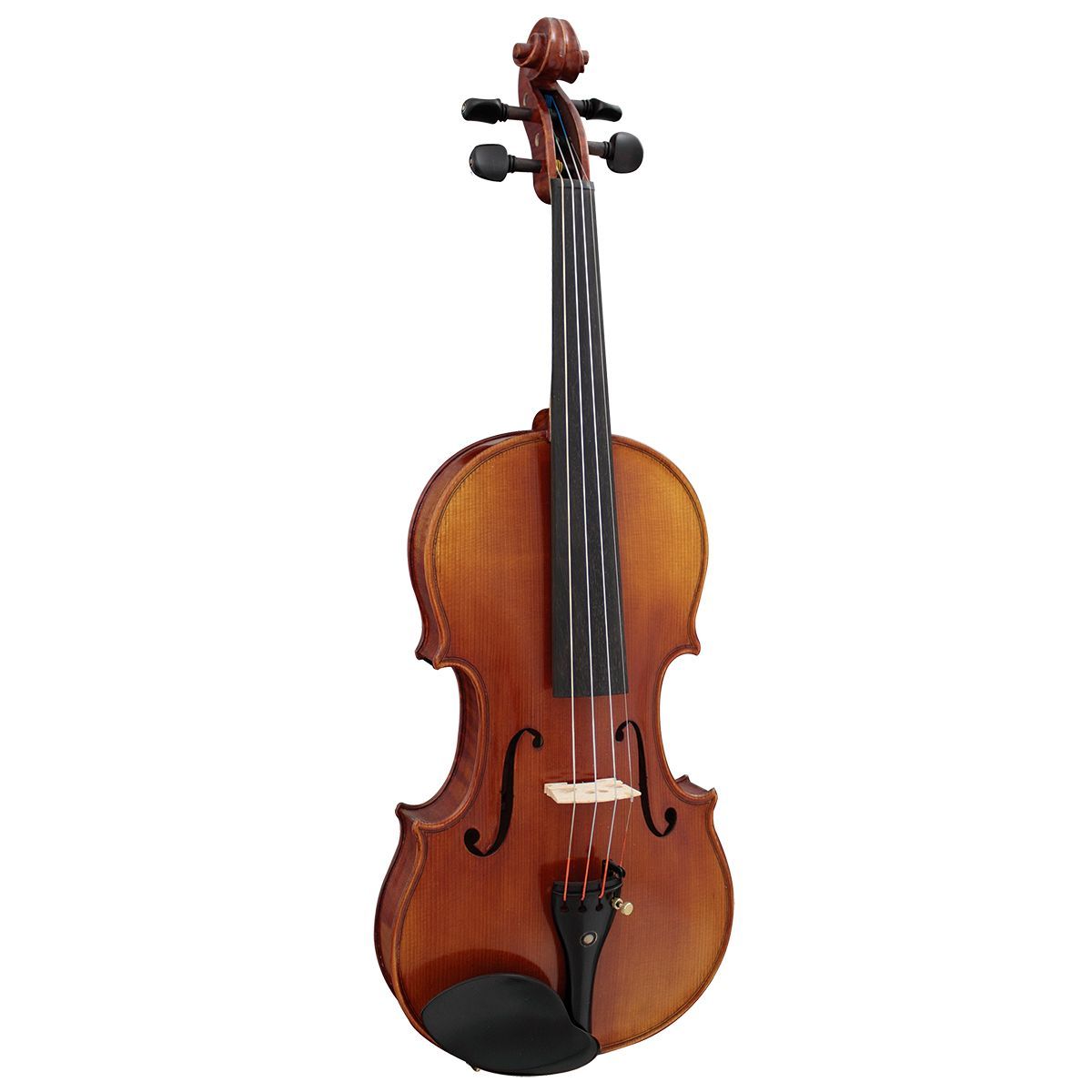 Hidersine 4/4 Violin Outfit-Hidersine-Infinite Music