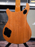 Full back of the guitar body showing the mahogany back grain, control cavity and access covers.