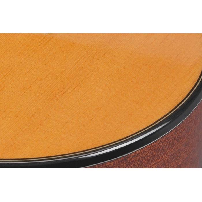 Ibanez GA5TCE Thinline Cutaway Classical Guitar with Pickup-Ibanez-Infinite Music