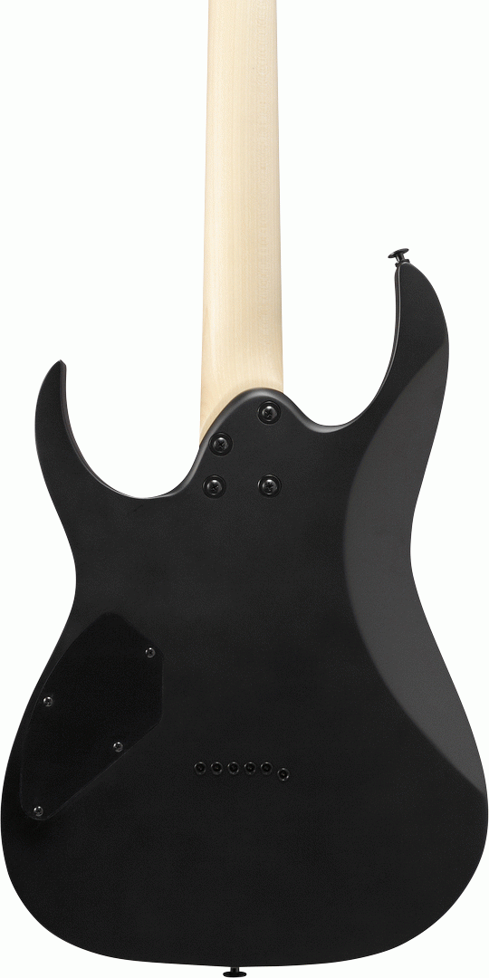 Ibanez RG121DX BKF Electric Guitar - Black Flat-Ibanez-Infinite Music