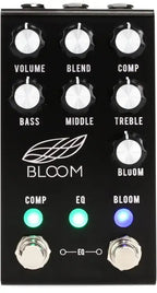 Jackson Audio | BLOOM V2 MIDI | BLACK | Compressor, EQ, Boost & Bloom w/ MIDI Switch-Jackson Audio-Infinite Music