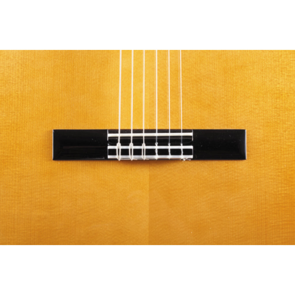 Katoh MCG115S Classical Guitar w/- Hard Case-Katoh-Infinite Music