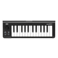 Korg microKey 25 USB Powered Midi Controller Keyboard-Korg-Infinite Music